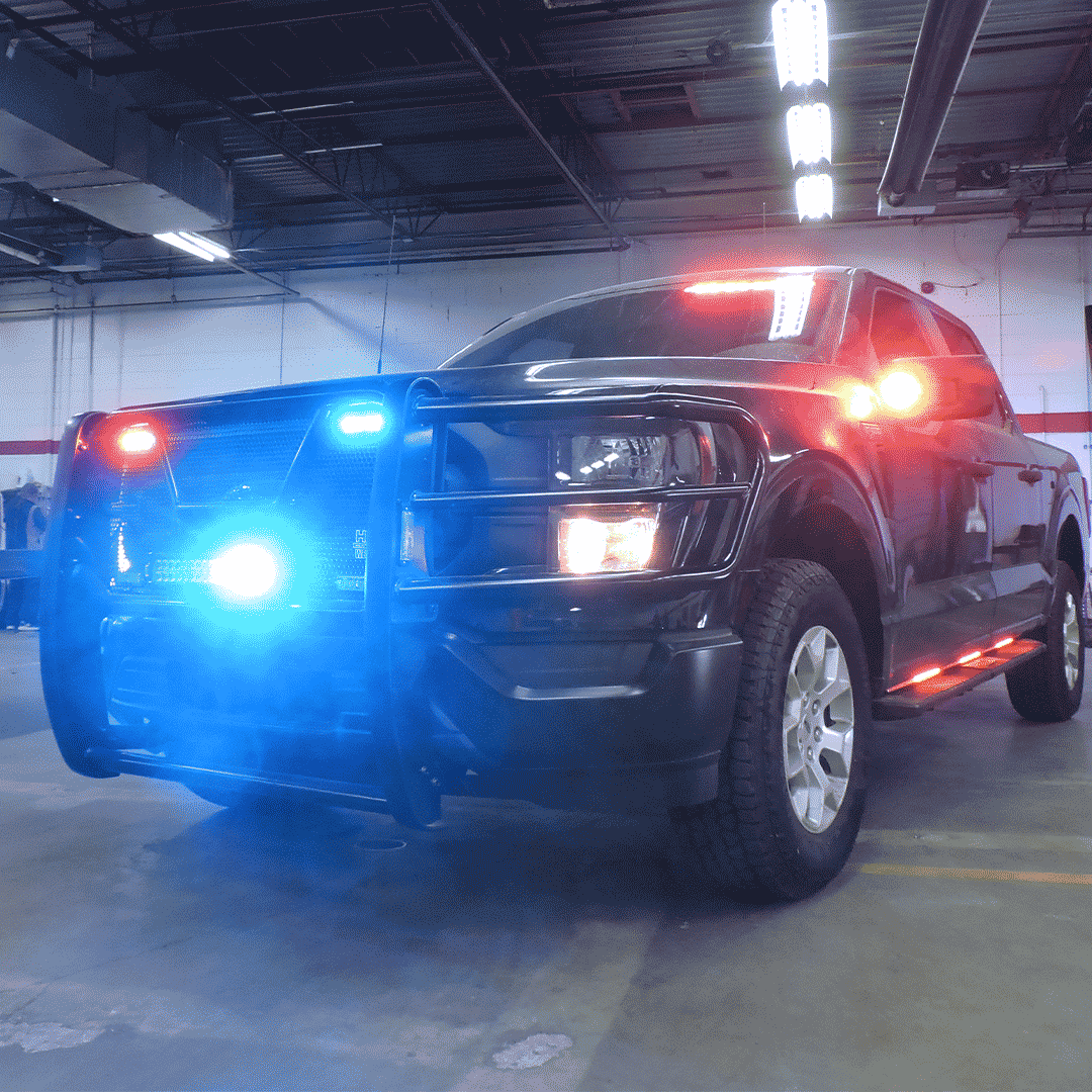 Trunk organizer with labeled fuse/relay block for undercover systems